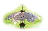 Weather Shield