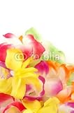 Wallmonkeys Peel and Stick Wall Decals - Hawaiian Lei - Removable Graphic