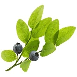 huckleberry flavor extract