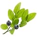 huckleberry flavor extract