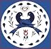 Hex Sign: Friendship 12