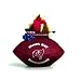 Tampa Bay Buccaneers Desk Paperweight