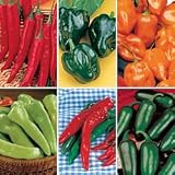 Pepper Seeds - Pepper Fire Mix