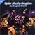 Spider Murphy Gang Live
