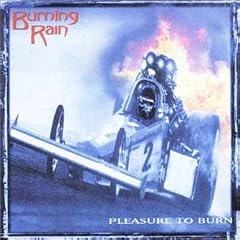 Pleasure to Burn