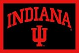 Indiana Hoosiers ( University Of ) NCAA 18x26 Car Floor\ Mats