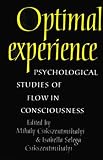 Optimal Experience: Psychological Studies of Flow in Consciousness