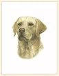 Fiddler's Elbow Yellow Lab Blank Box Note Cards
