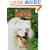 The Samoyed Today