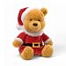 Gund 11