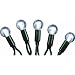 Neo Neon LED-PL(G02)-25-4"-120VWW 25 Count LED Warm White Globe Light