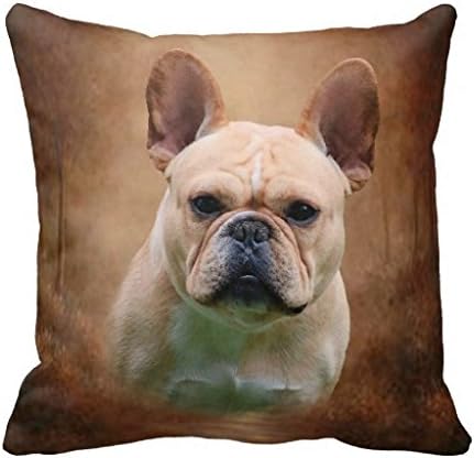 French Bulldog Throw R4c7bc7e556f64e608b2b5a678349dc37 I5fqz 8byvr Pillow Case 18X18