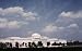 National Gallery of Art, Washington, D.C., 1940s Photograph - Beautiful 16x20 Photographic Print from the Library of Congress Collection