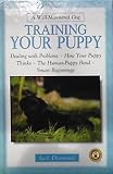 A well-Mannered Dog - Training your Puppy.