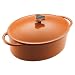 Kitchen & Housewares : Rachael Ray 5.25-qt. Covered Oval Casserole Pot- Orange