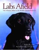 Labs Afield