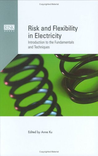 Risk and Flexibility in Electricity: Introduction to the Fundamentals and Techniques