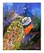 Peacock # 3 Emerging Artists Giclee Poster Print by Ginette Callaway, 16x20