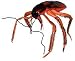 Huge Disgusting Cockroach Halloween Prop
