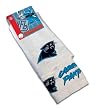 Carolina Panthers Kitchen Towel Combo