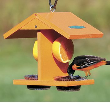 Eco-Oriole Fruit & Jelly Feeder