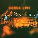 Live von Bonga - alle Infos