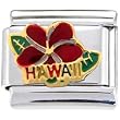 Hawaii Flower Italian Charm
