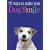 97 Ways to Make Your Dog Smile