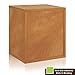 Way Basics Cube Plus Cubby Organizer (Tool-Free Assembly and Uniquely Crafted from Sustainable Non Toxic zBoard Paperboard), Natural Wood Grain