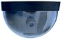 SPECO CSI CEILING CAMERA (CVC185DC25)