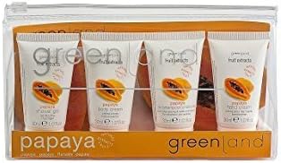 Greenland Fruit Extracts Papaya Travel Kit by bodynurse (English Manual)