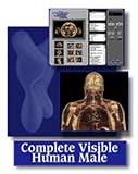Complete Visible Male – Complete Package