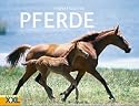 Pferde