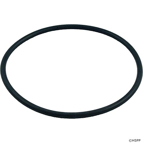 Pentair 272541 ORing Replacement Pool/Spa Filter and Valve New eBay