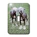 Dogs Chinese Crested Hairless - Chinese Crested Hairless - Light Switch Covers - single toggle switch