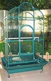 Parrot Cage