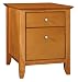 NAPA FILE (2 DRAWER)