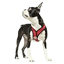 Gooby Choke Free X Frame Soft Harness with Micro Suede Trimming for Small Dogs, Large, Red
