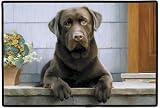 Doormat - D92 Chocolate Lab on Porch - 18 x 27 Indoor/Outdoor Designer Mat