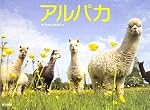 アルパカ ALPACA