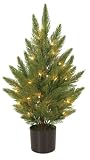 GKI Bethlehem Lighting 35 Clear Mini Light 3-Foot Potted Cypress Tree
