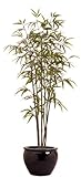 IMAGE OF 4ft BAMBOO TREE/2PC