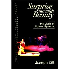 Surprise Me With Beauty: The Music of Human Systems