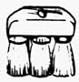 Three Knot Roofing Brushes - THREE-KNOT ROOFING BRUSH