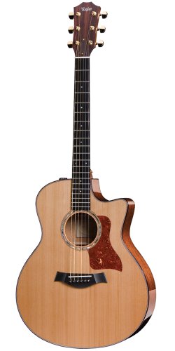 Taylor Guitars 516ce Grand Symphony Acoustic Electric Guitar