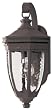 Westinghouse Lighting 6985200 One-Light Exterior Wall Lantern, Textured Rust Patina Finish on Cast Aluminum with Clear Water Glass