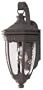 Westinghouse Lighting 6985200 One-Light Exterior Wall Lantern, Textured Rust Patina Finish on Cast Aluminum with Clear Water Glass
