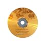 Now to Quit Smoking, Too - A Hypnosis Cd for Smoking Cessation with Minimized Relapse Potential