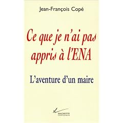 Ce que je n'ai pas appris � l'ENA : L'aventure d'un maire