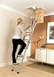 youngman loft ladder